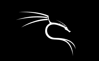 Kali Linux 虚拟机安装详解：轻松上手